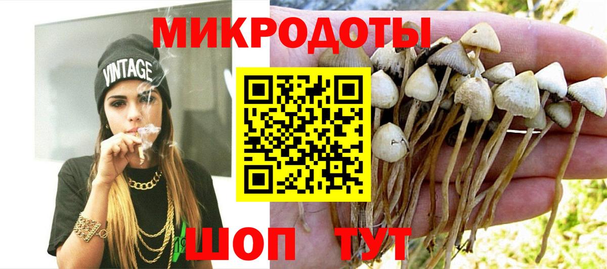 Псилоцибиновые грибы прущие грибы Камышлов