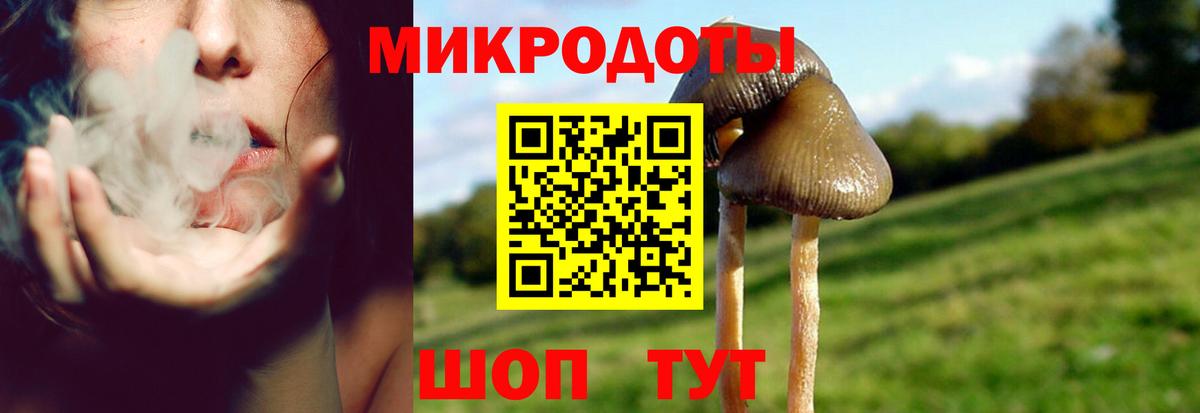 Галлюциногенные грибы Magic Shrooms  Вход с VPN  Галлюциногенные грибы мицелий  Камышлов 